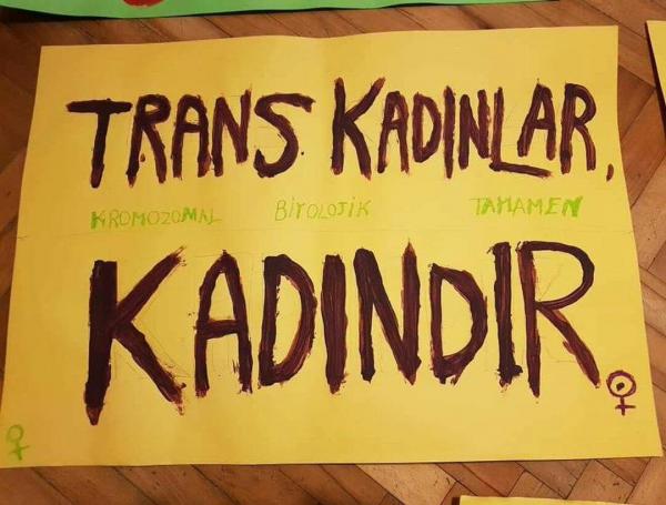 “Transların zorunlu deneyimleri translara ayrıcalık ya da avantaj sağlamaz” Kaos GL - LGBTİ+ Haber Portalı