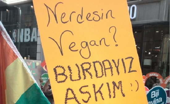 Yılgın bir vegan aktivistin serzenişleri | Kaos GL - LGBTİ+ Haber Portalı Haber