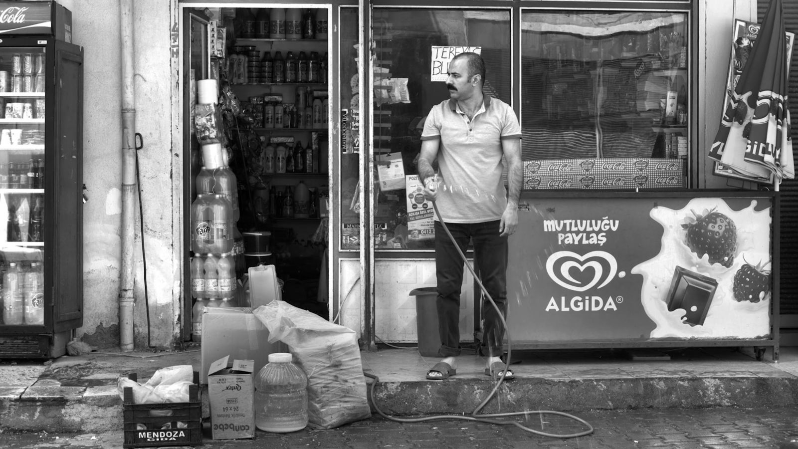 Veşartî Hamburg&rsquo;dan ödülle döndü | Kaos GL - LGBTİ+ Haber Portalı Haber