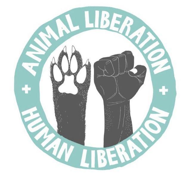 Mercimek Ali | Kaos GL - LGBTİ+ Haber Portalı Gökkuşağı Forumu Köşe Yazarı